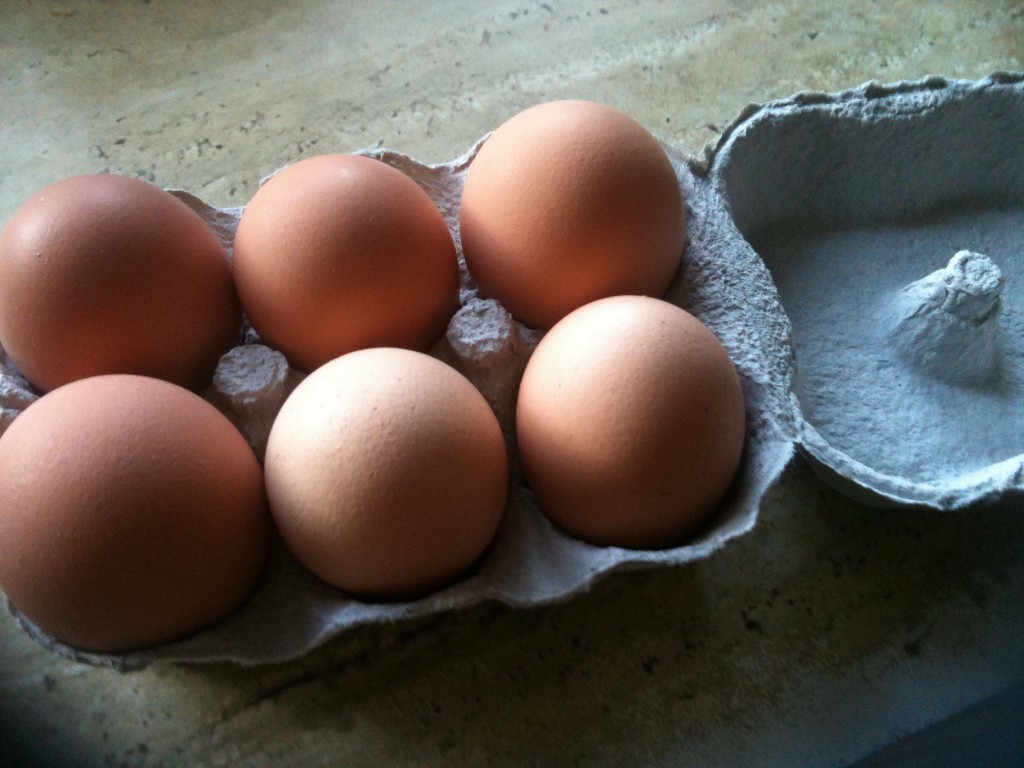 Clandeboye 6 eggs
