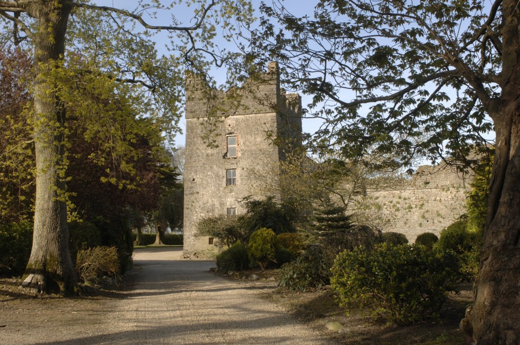 Wexford Killiane Castle