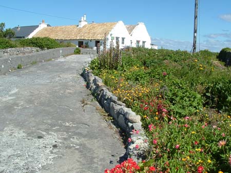 Man of Aran - B&B - Aran Islands