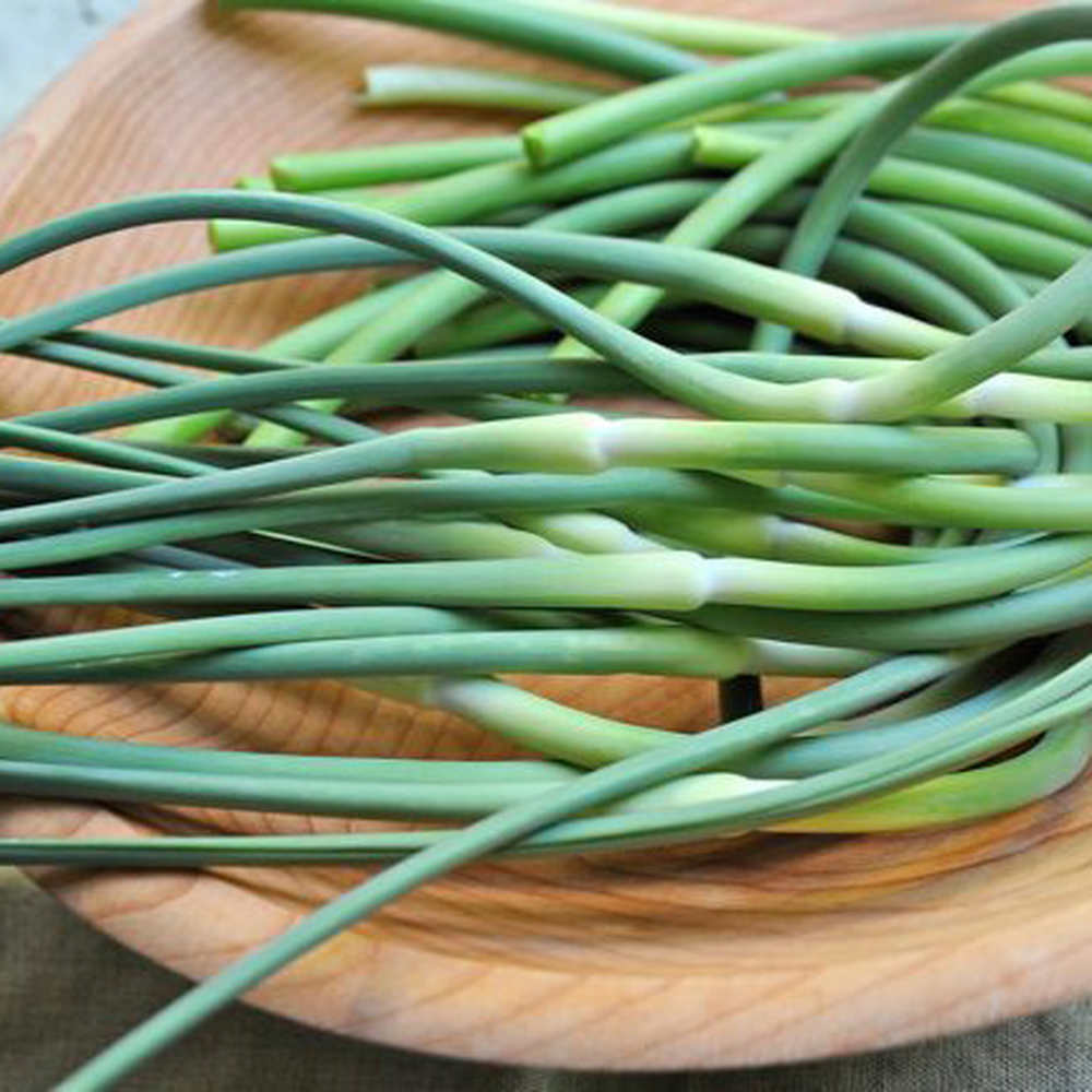 Drummod House Garlic Scapes