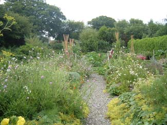 Glebe gardens - Cork